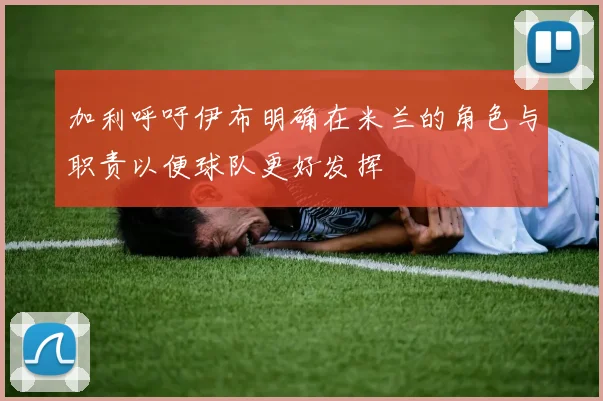 加利呼吁伊布明确在米兰的角色与职责以便球队更好发挥