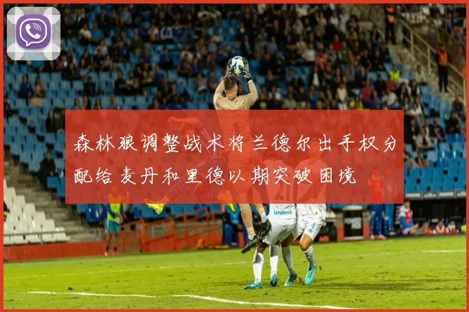 森林狼调整战术将兰德尔出手权分配给麦丹和里德以期突破困境
